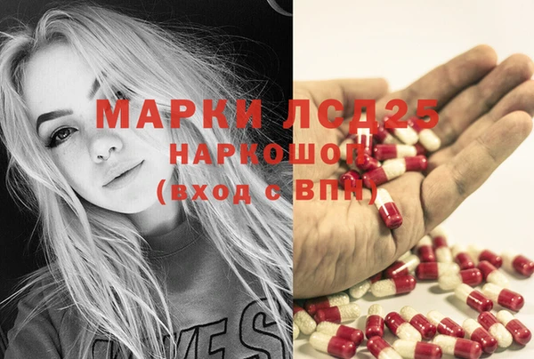 крисы Новодвинск