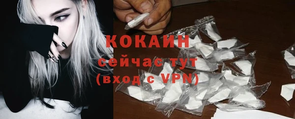 ешки Вяземский