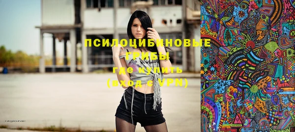 бутират Горнозаводск