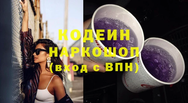 крисы Новодвинск