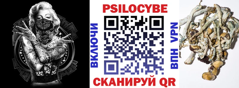 Галлюциногенные грибы GOLDEN TEACHER  блэк спрут ССЫЛКА  Октябрьск 